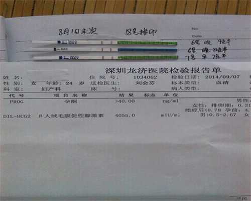 达雅高最新报告单图片解读与洞察揭秘