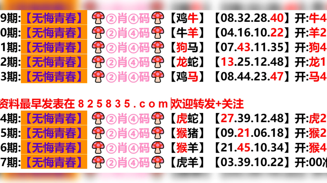 2024年新奥门天天开彩,动态词语解释落实_nShop66.226