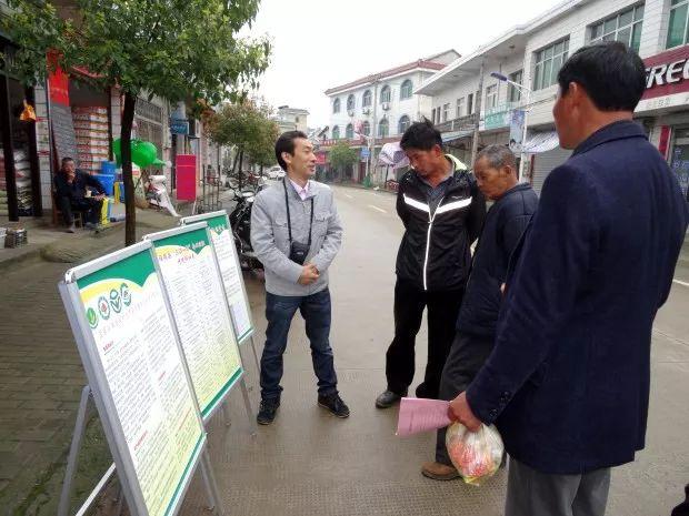 旌德县农业农村局规划现代化农业新格局，助力乡村振兴发展策略揭秘