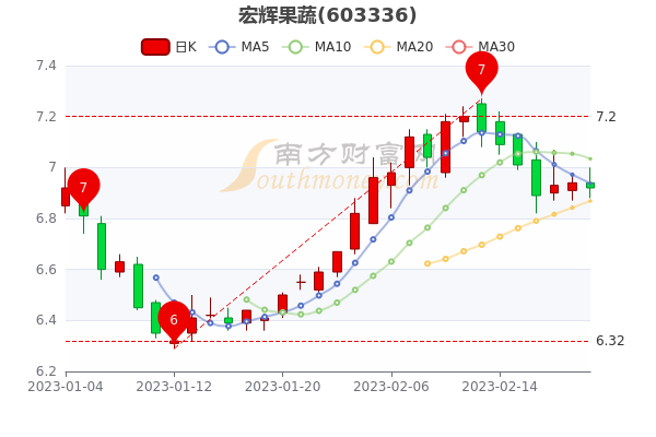 宏辉果蔬股价预测，多维度分析展望未来走势，最新预测报告出炉！