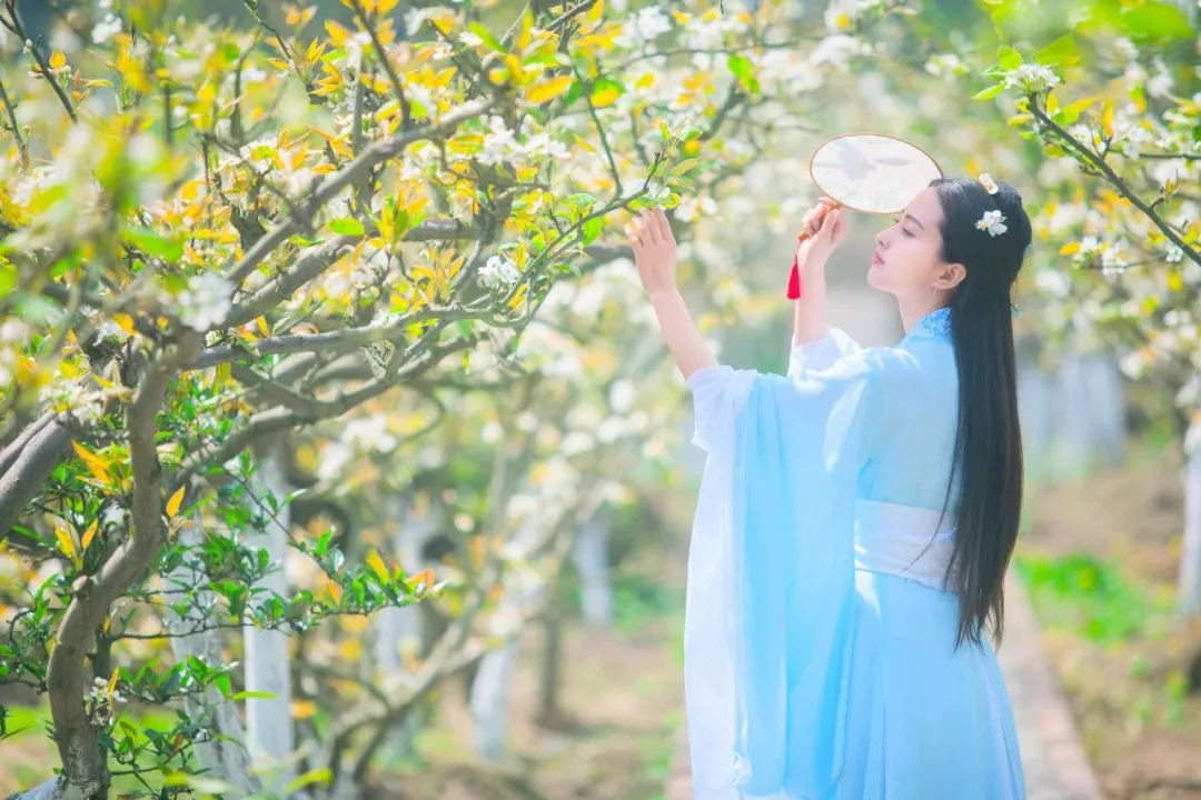 露泣梨花白如玉，情感与命运的深度交织